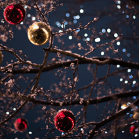 Noël