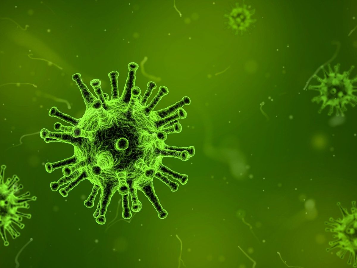 virus 1812092 1920