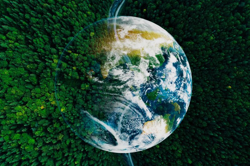 Sustainability